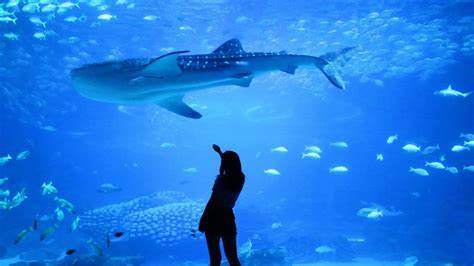 Gran Acuario de Mazatlán