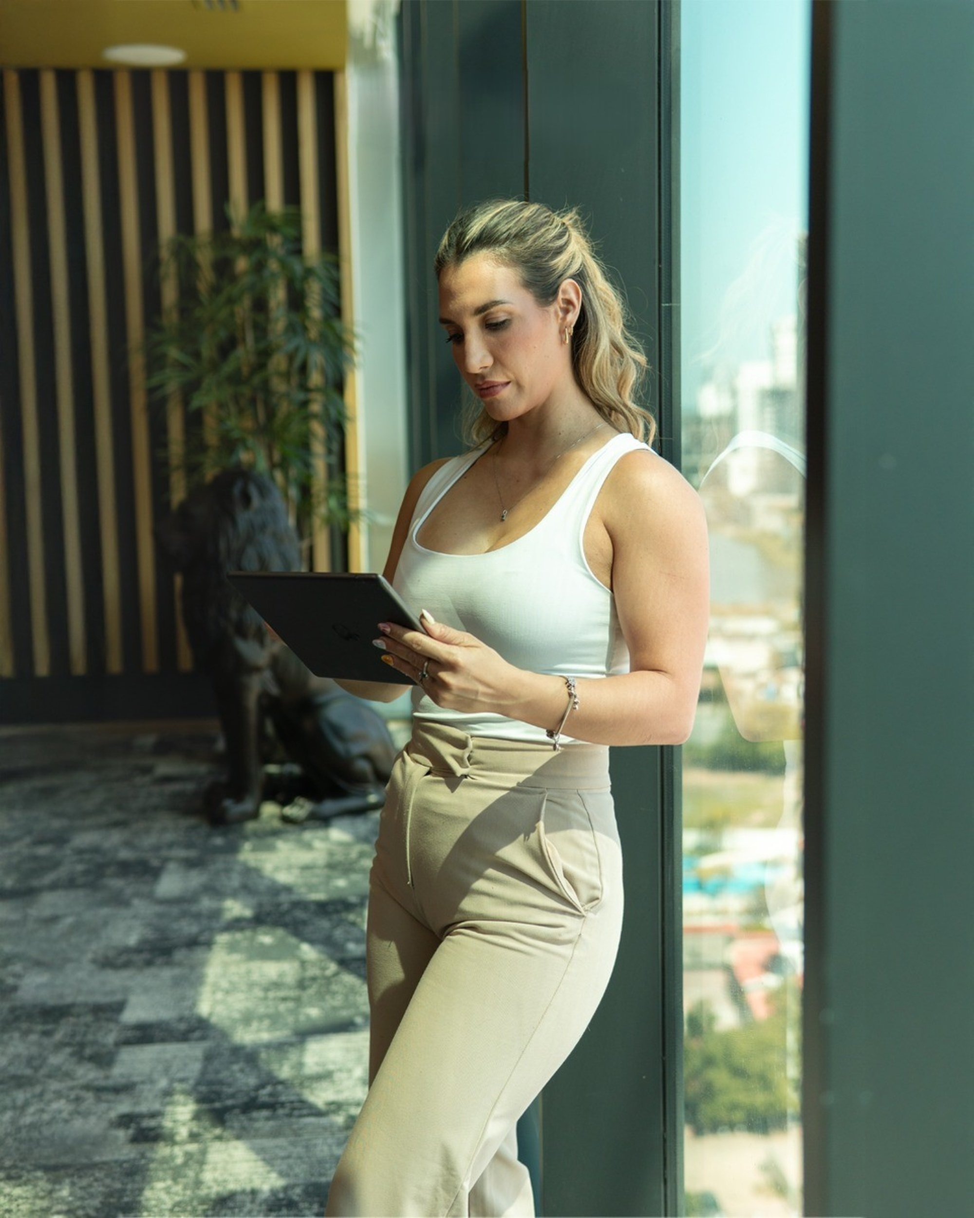 Revisión del Fideicomiso Bansi